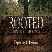 Rooted Pt:4 episode artwork