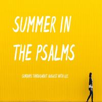 Summer in the Psalms Pt:1 episode artwork