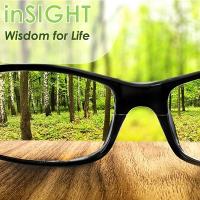 inSIGHT - Part 2 (Making a difference) episode artwork